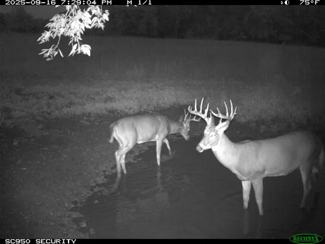 $2,675,000 | N23415 Oak Ridge Drive, Galesville, WI 54630