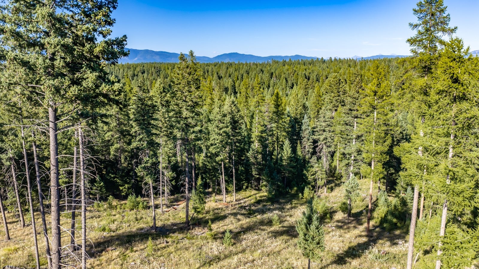 365 Layton Road Whitefish, MT 59937 - Photo 13 of 27 Gallery Image 13