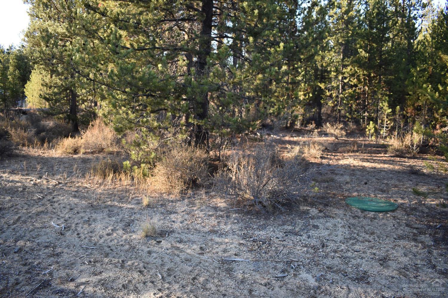 4100 Jerry Road La Pine, OR 97739 - Photo 2 of 10 Gallery Image 2