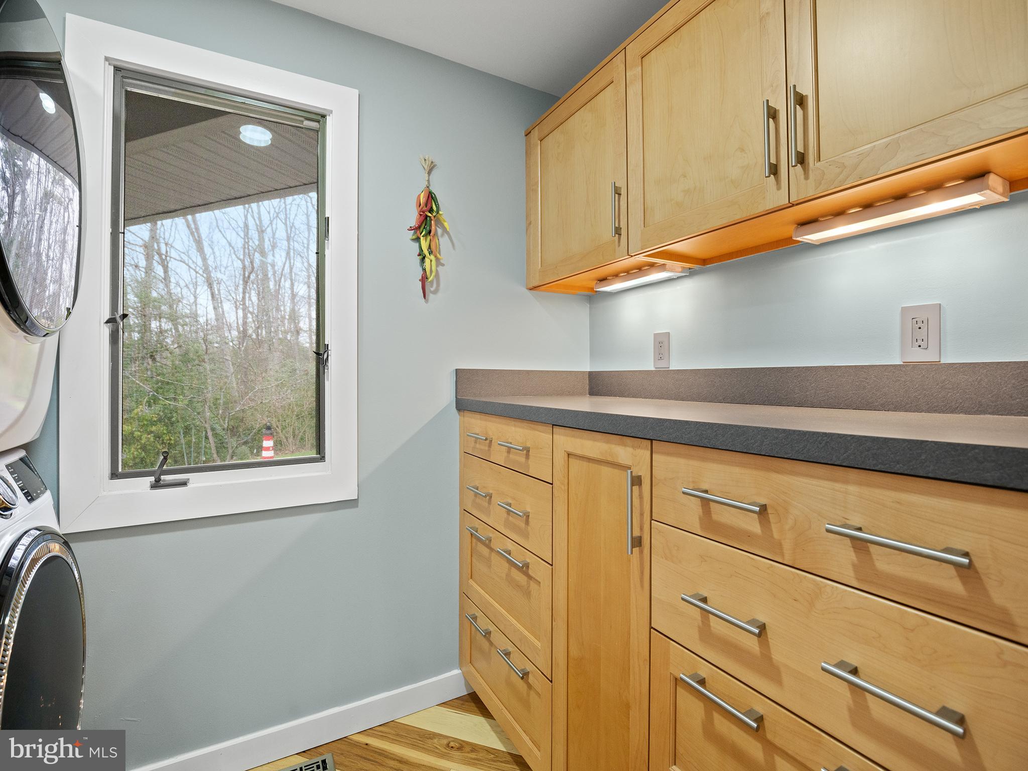 855 Big Road Lusby, MD 20657 - Photo 17 of 48 a view of cabinets and window