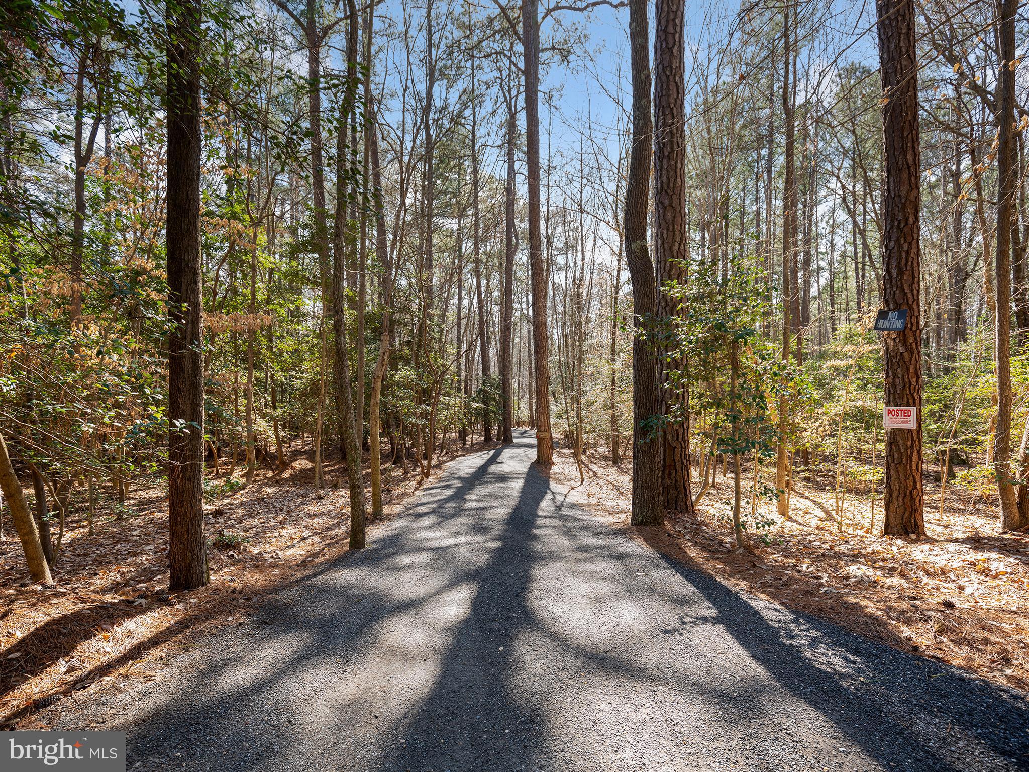 855 Big Road Lusby, MD 20657 - Photo 43 of 48 a view of outdoor space with lots of trees