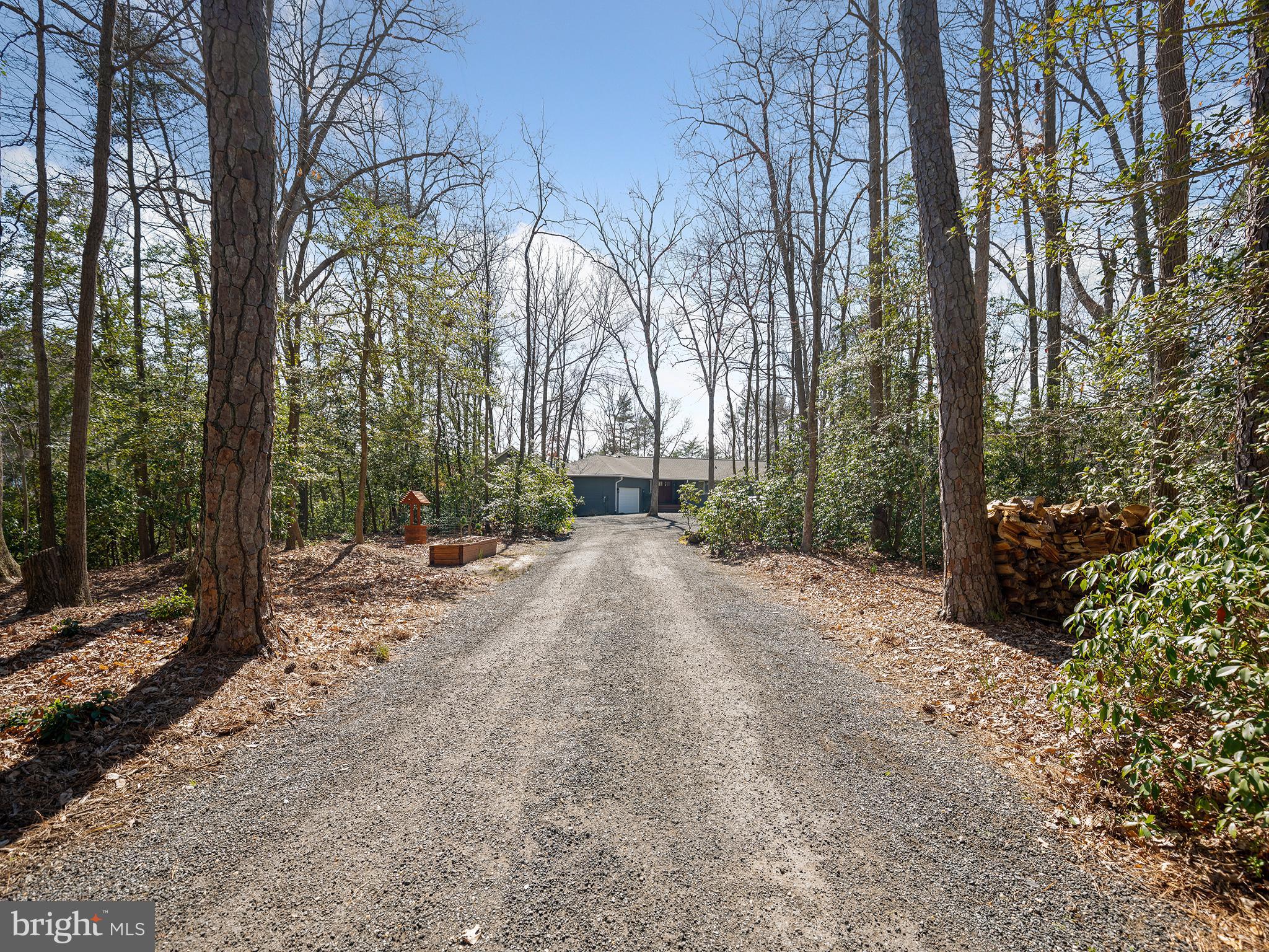 855 Big Road Lusby, MD 20657 - Photo 44 of 48 a view of a yard with a tree