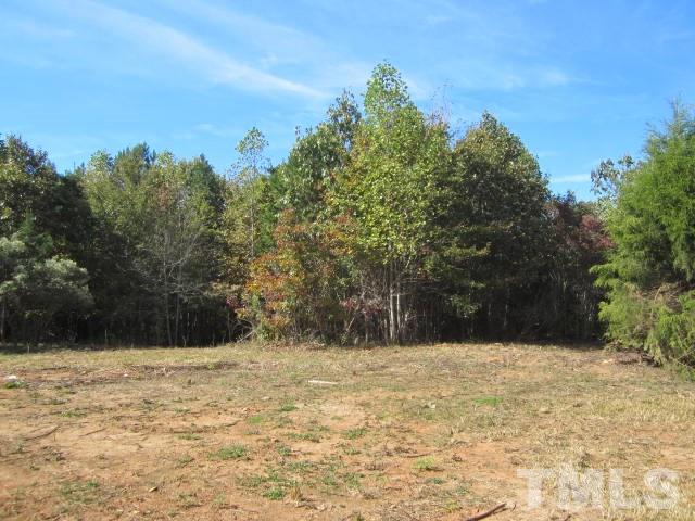 3360 Tungsten Mine Road Bullock, NC 27507 - Photo 4 of 20 Gallery Image 4