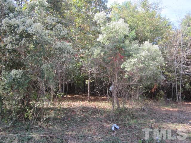 3360 Tungsten Mine Road Bullock, NC 27507 - Photo 8 of 20 Gallery Image 8