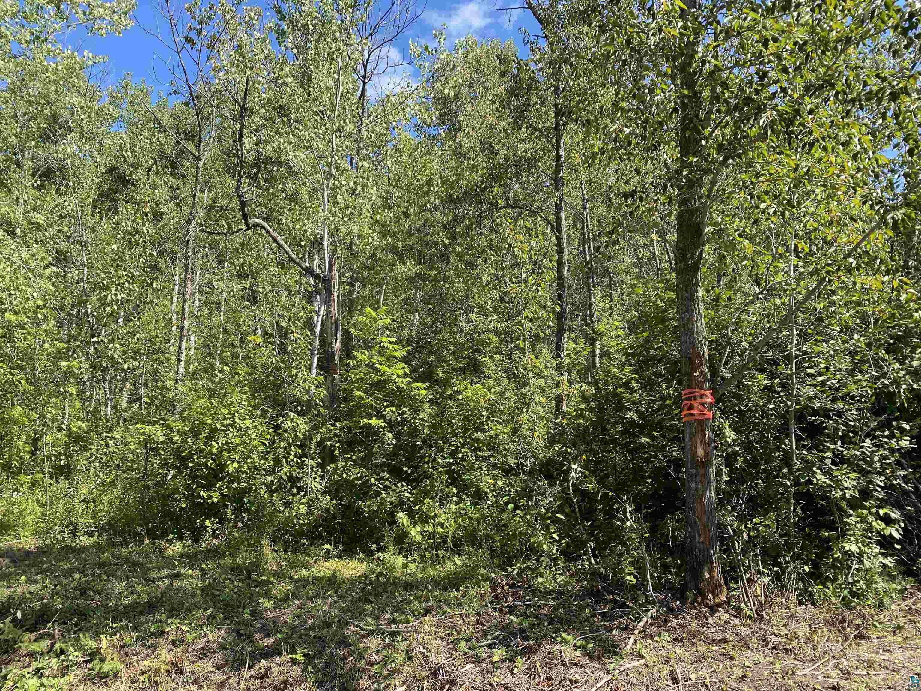 30-xx Cemetery Road South Range, WI 54874 - Photo 3 of 6