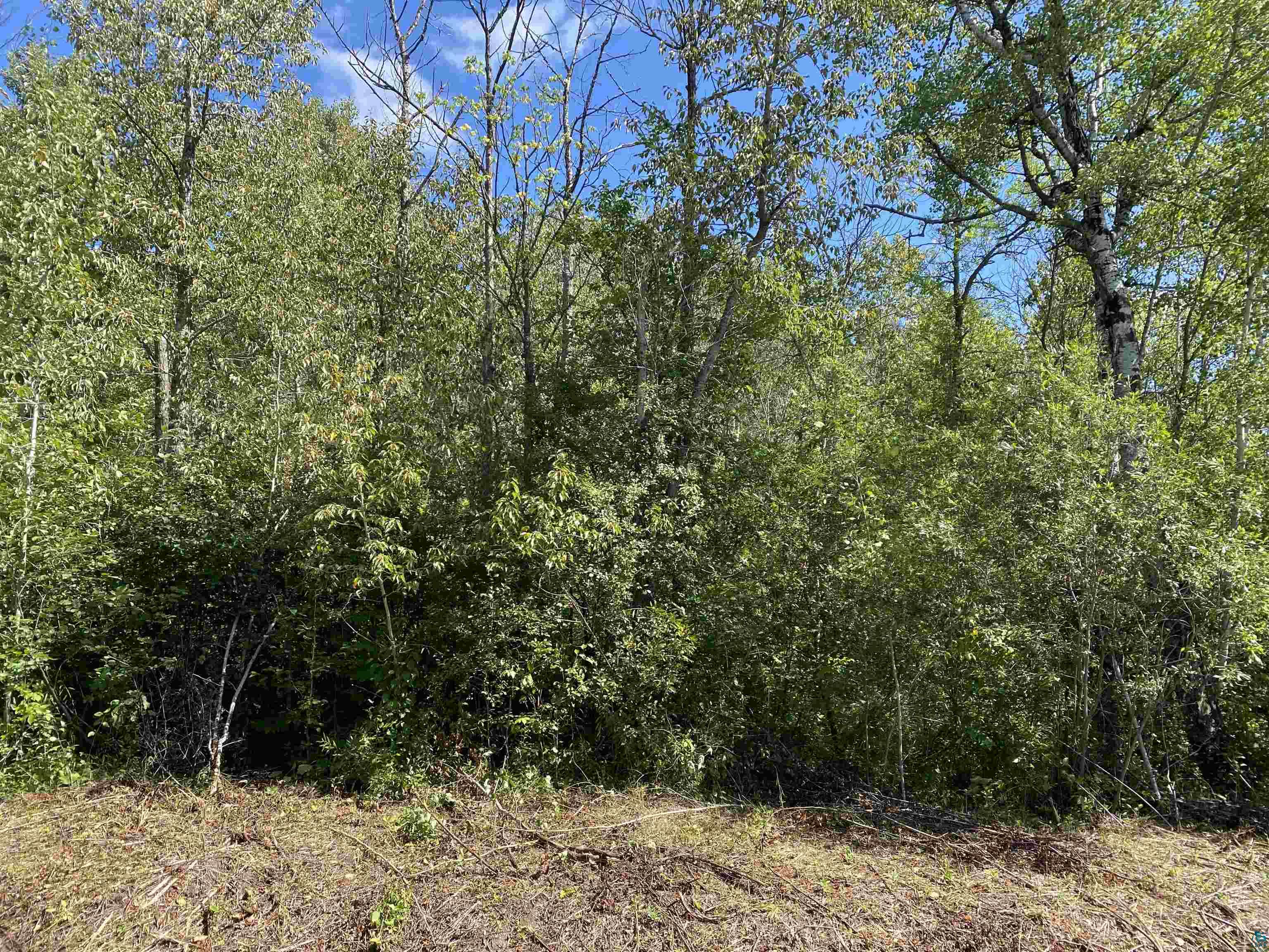 30-xx Cemetery Road South Range, WI 54874 - Photo 4 of 6