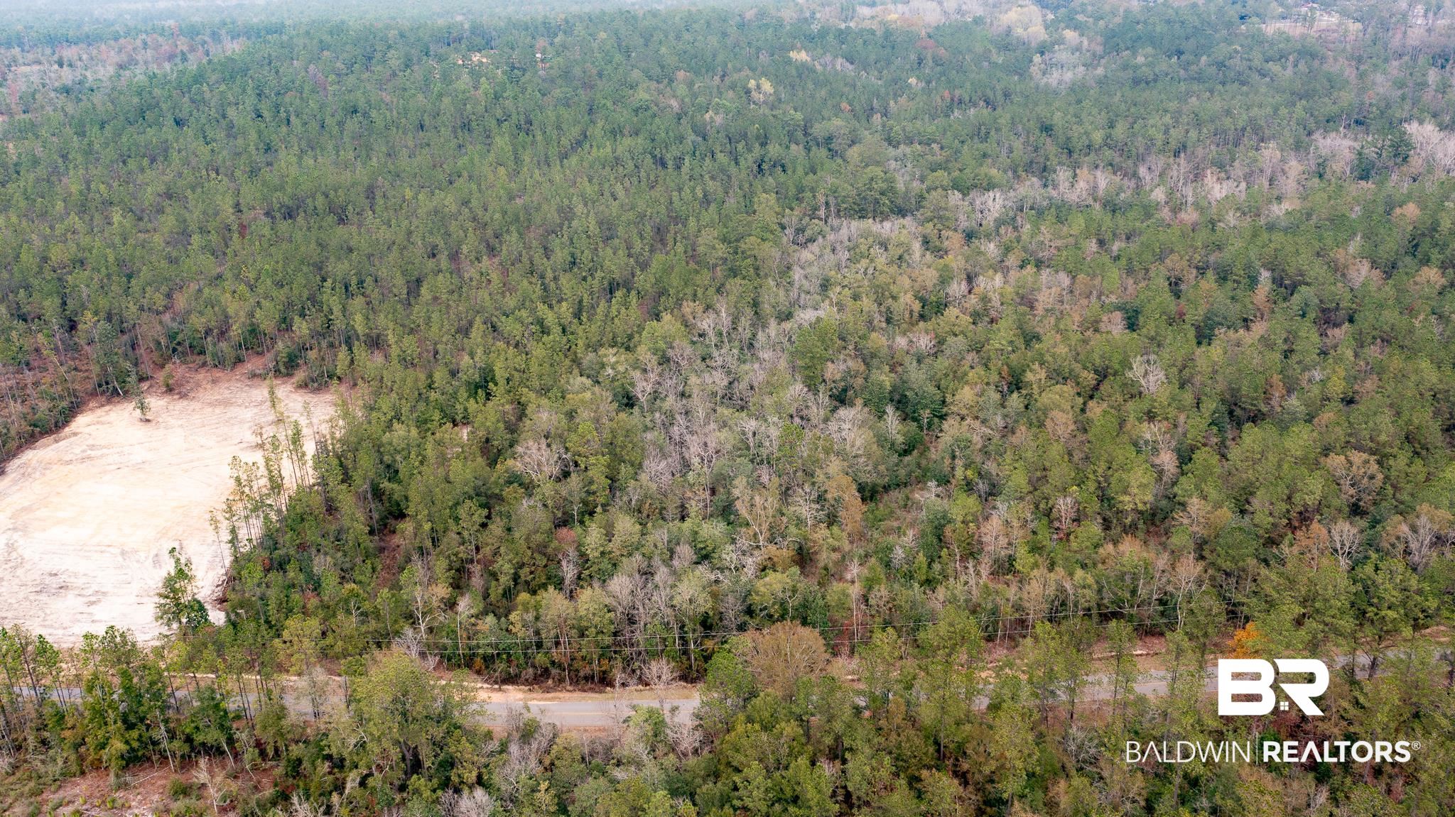 12123 Red Hill Rd Extension Bay Minette, AL 36507 - Photo 2 of 4