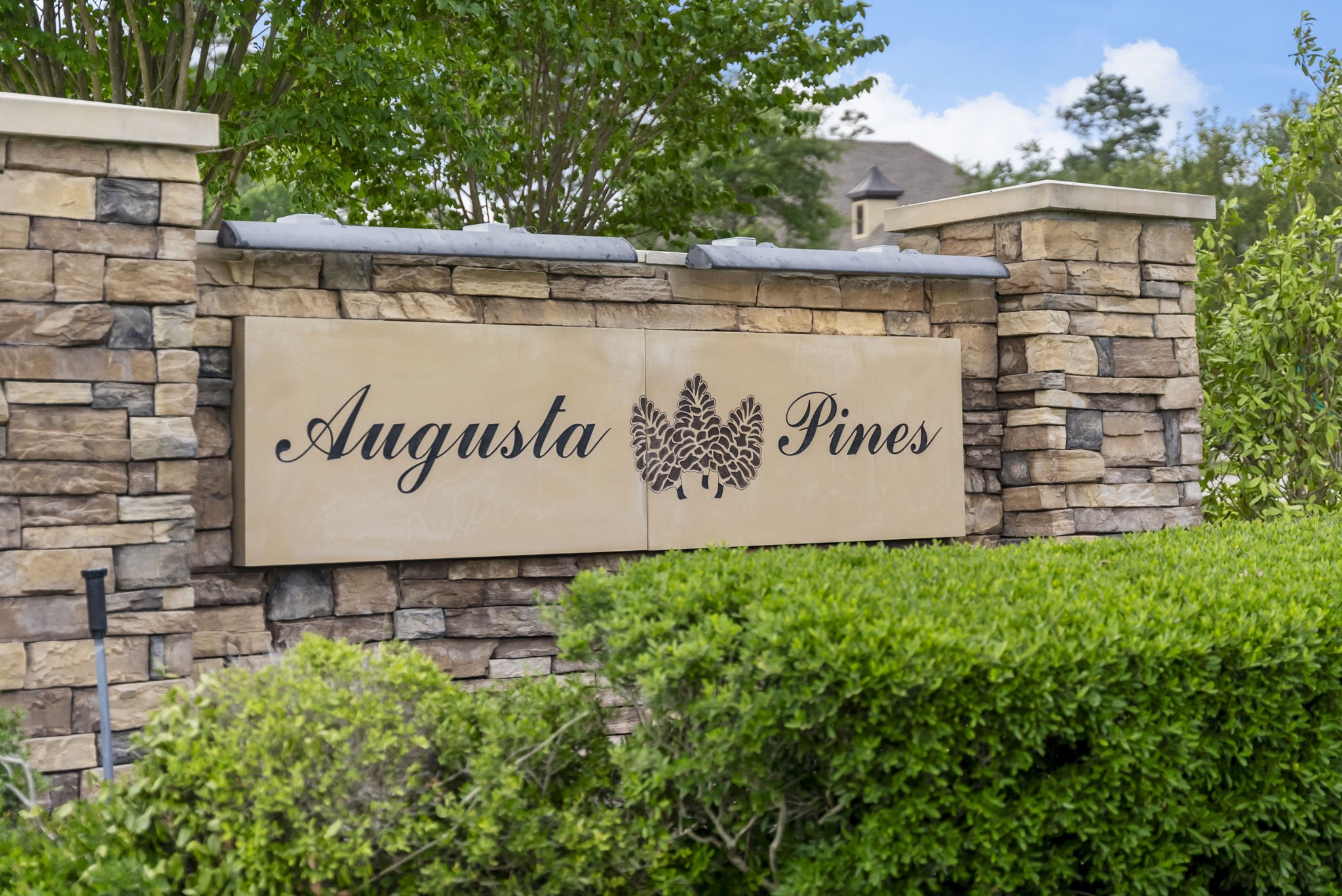 25514 Long Iron Court Spring, TX 77389 - Photo 2 of 38 a view of outdoor space with garden and trees