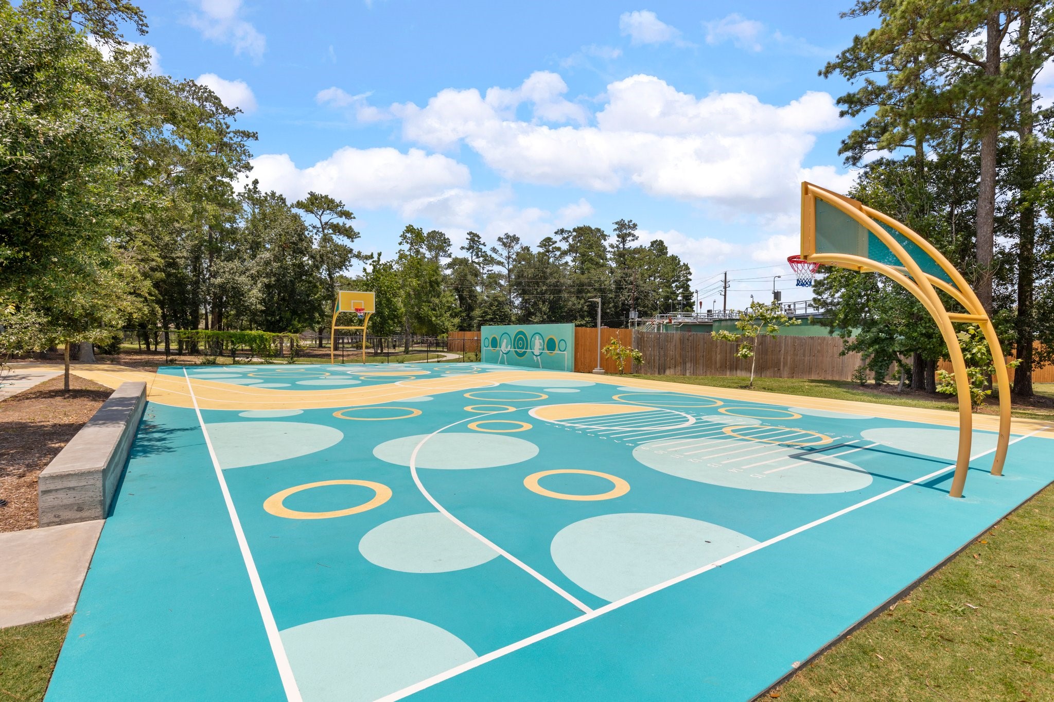 25514 Long Iron Court Spring, TX 77389 - Photo 36 of 38 Outdoor sport courts!