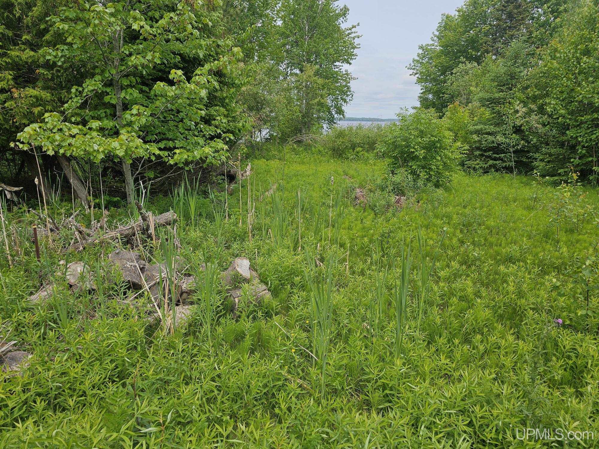 432 Rd Gulliver Mi 49840 Road Gulliver, MI 49840 - Photo 6 of 10