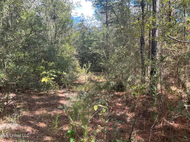 $400,000 | Nhn Nhn Betsy Branch Road, Lucedale, MS 39452