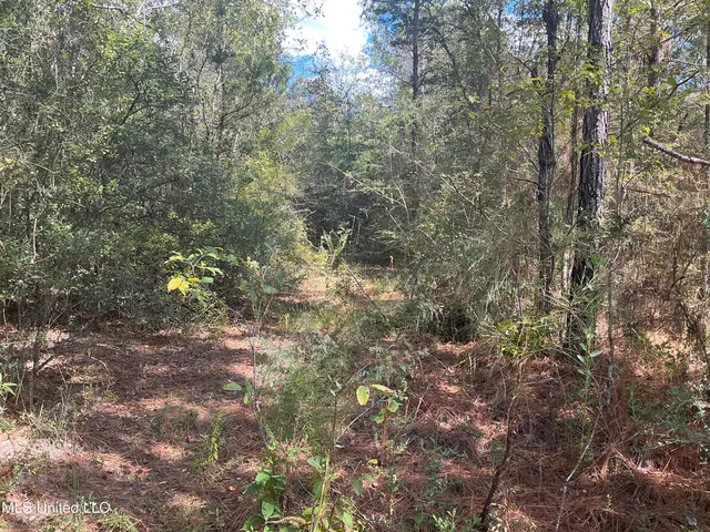 $400,000 | Nhn Nhn Betsy Branch Road, Lucedale, MS 39452