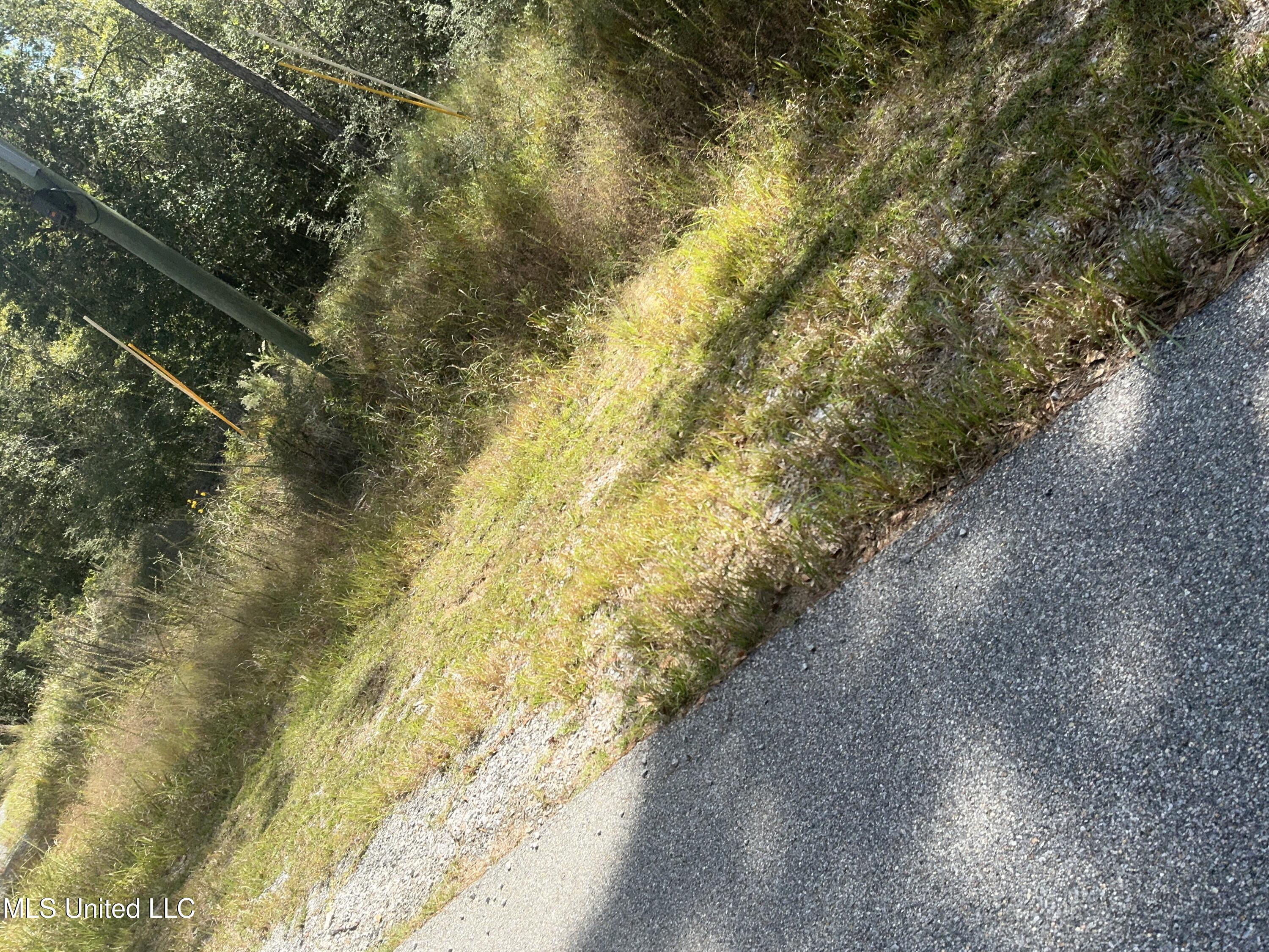 Nhn Nhn Betsy Branch Road Lucedale, MS 39452 - Photo 5 of 7 IMG_0375