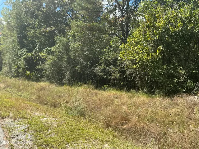 $400,000 | Nhn Nhn Betsy Branch Road, Lucedale, MS 39452