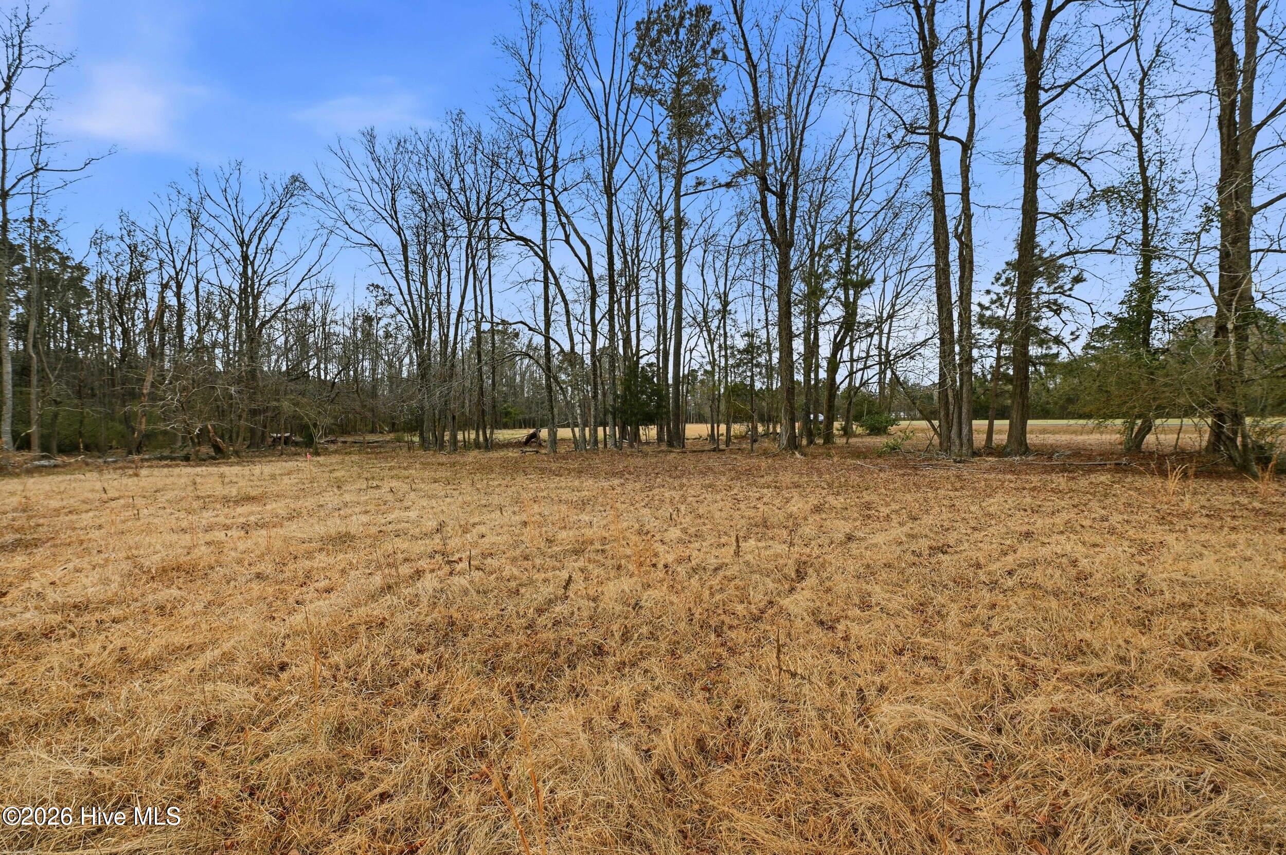 3566 Red Store Road Whiteville, NC 28472 - Photo 5 of 13 4_3566 red store rd-0004