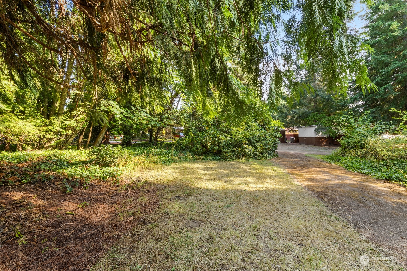 383 Dungeness Meadows Sequim, WA 98382 - Photo 20 of 30 a view of a yard with a tree