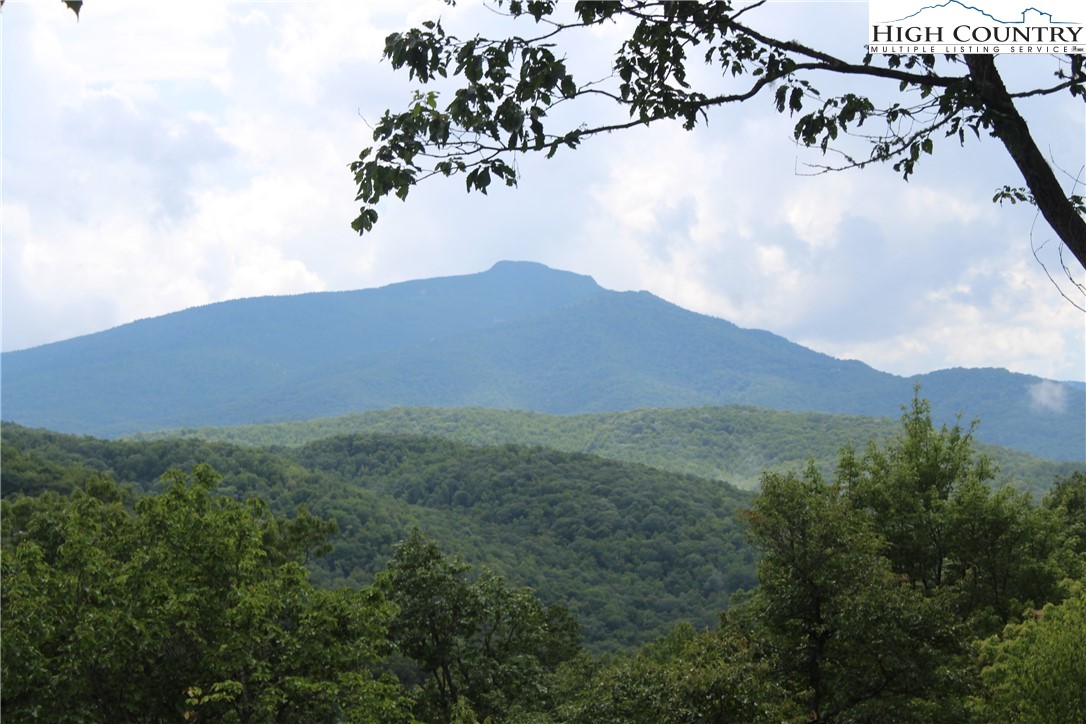 260 Rustic Ridge Boone, NC 28607 - Photo 13 of 30 Gallery Image 13