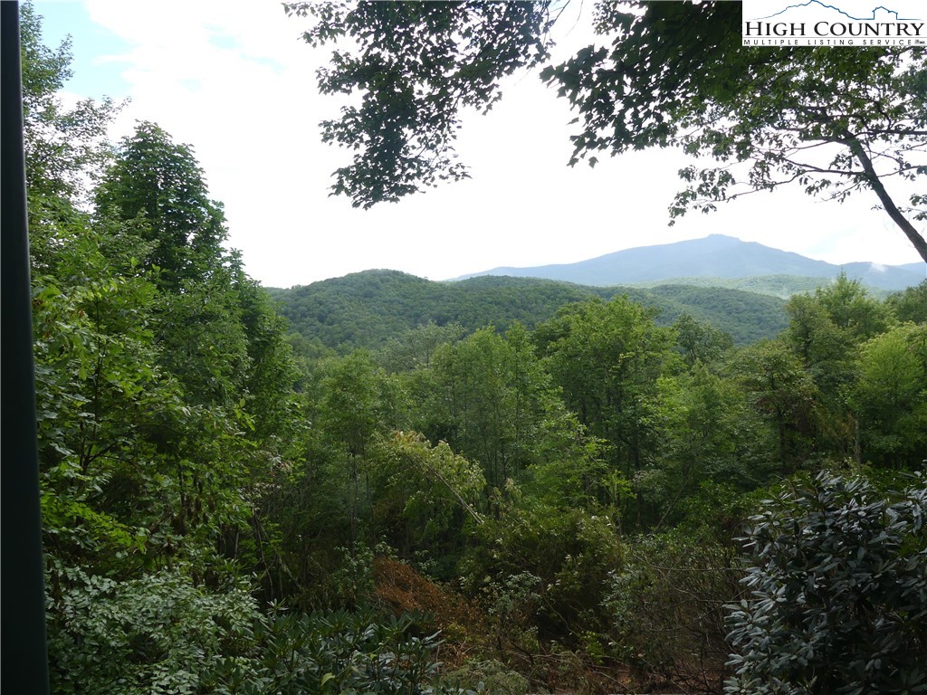 260 Rustic Ridge Boone, NC 28607 - Photo 15 of 30 Gallery Image 15