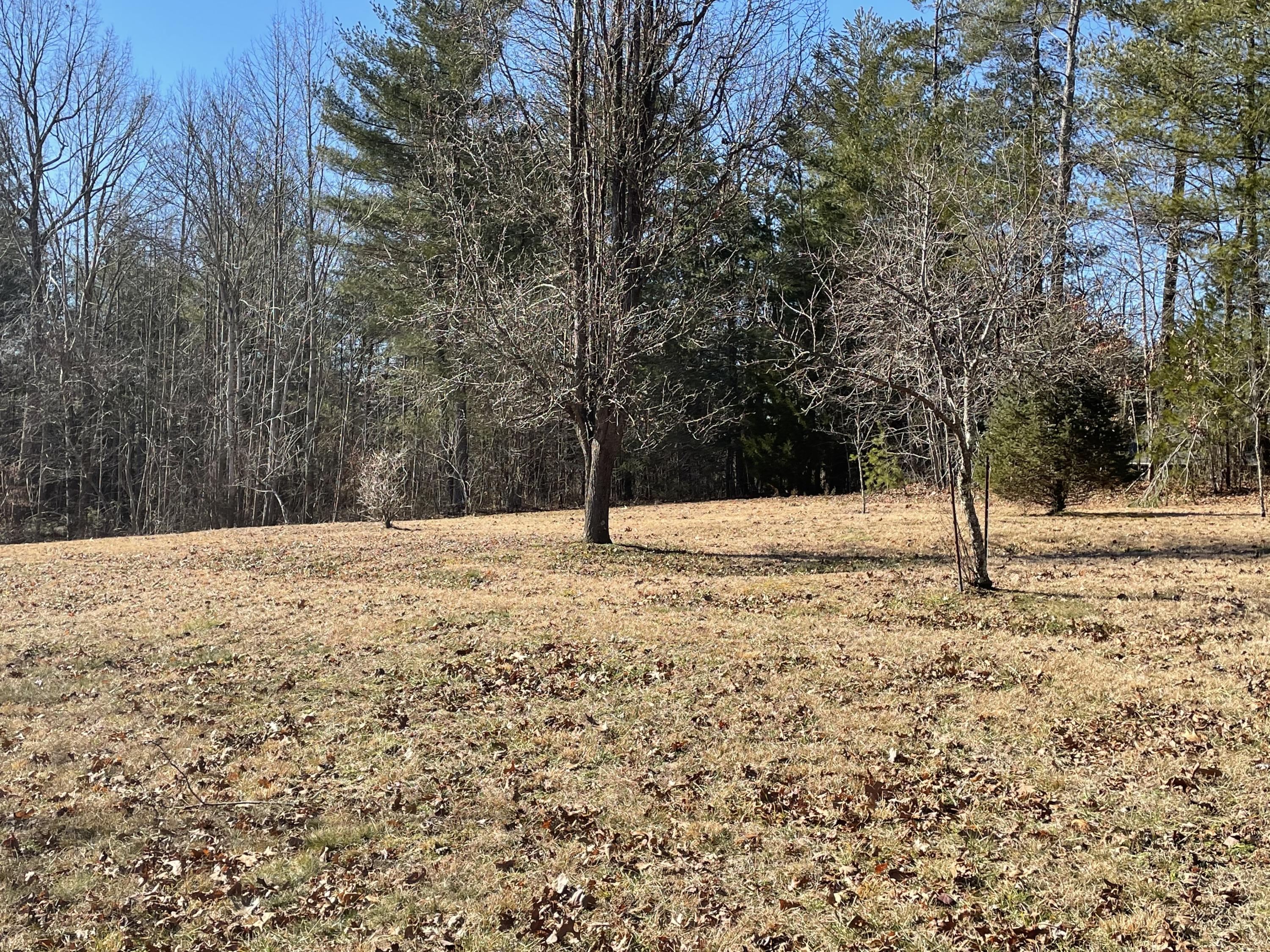 640 Briar Ridge Road Rocky Mount, VA 24151 - Photo 17 of 35 1