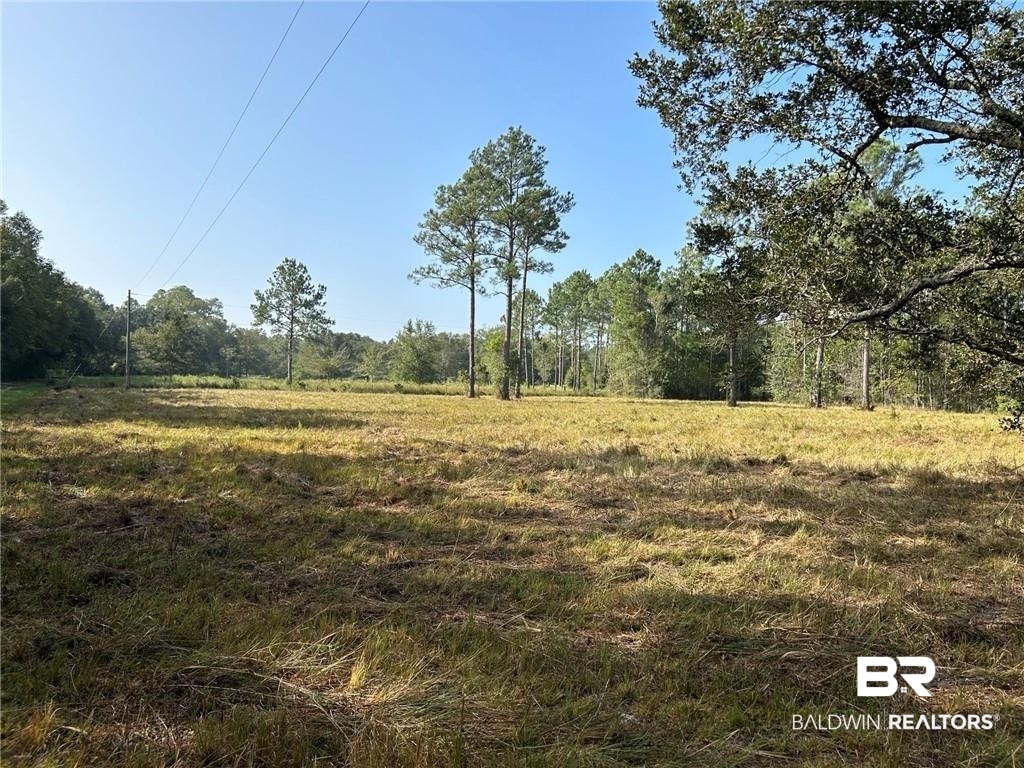 0 Ezell Road Grand Bay, AL 36541 - Photo 3 of 7 Gallery Image 3