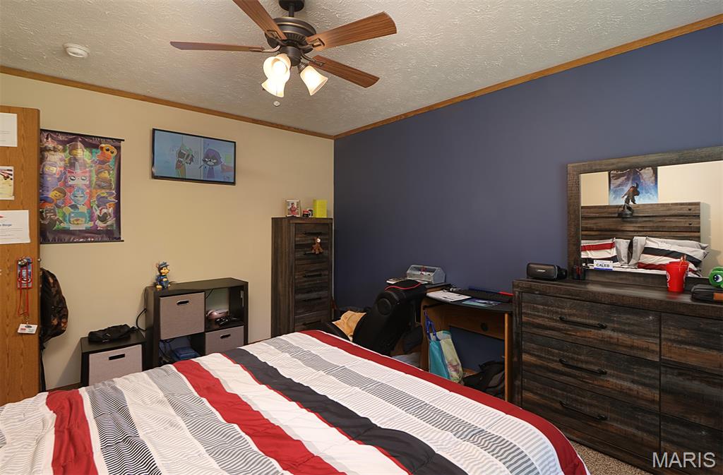 321 Sunset Drive Sparta, IL 62286 - Photo 15 of 51