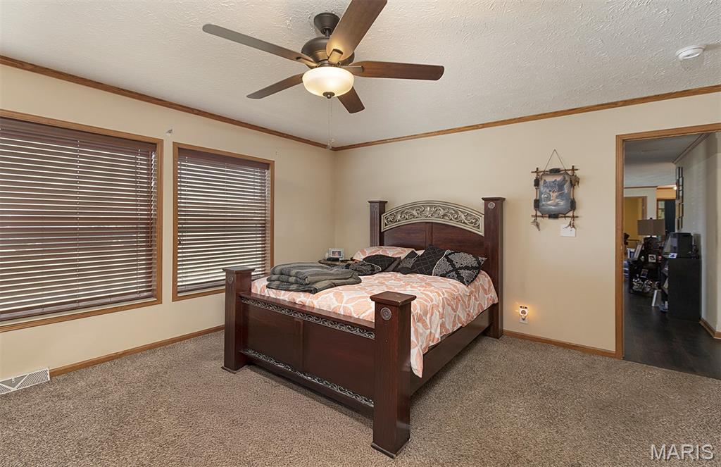 321 Sunset Drive Sparta, IL 62286 - Photo 21 of 51