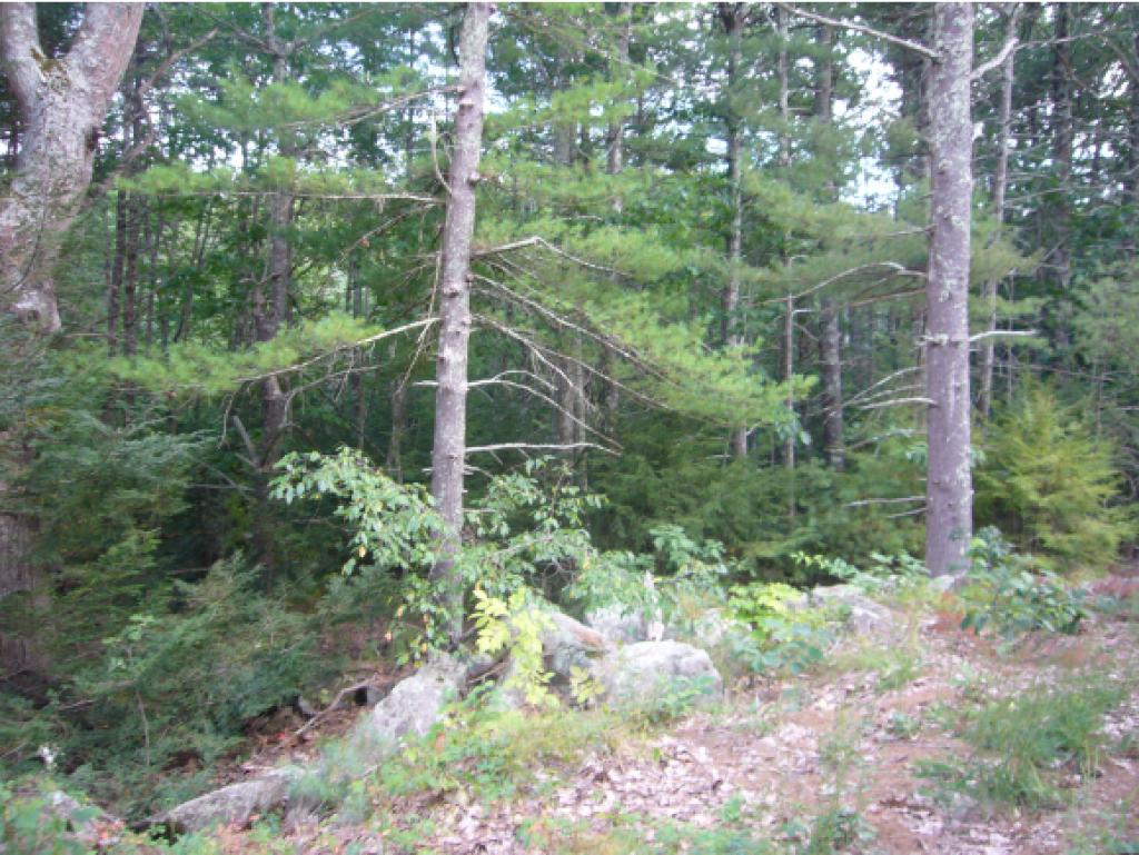 190 Clay Hill Road York, ME 03902 - Photo 2 of 2 Gallery Image 2