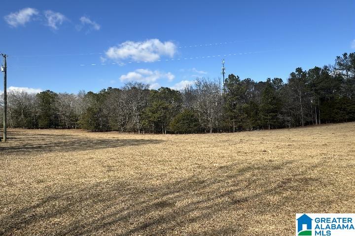 1036 Rushing Springs Road Lincoln, AL 35096 - Photo 29 of 58