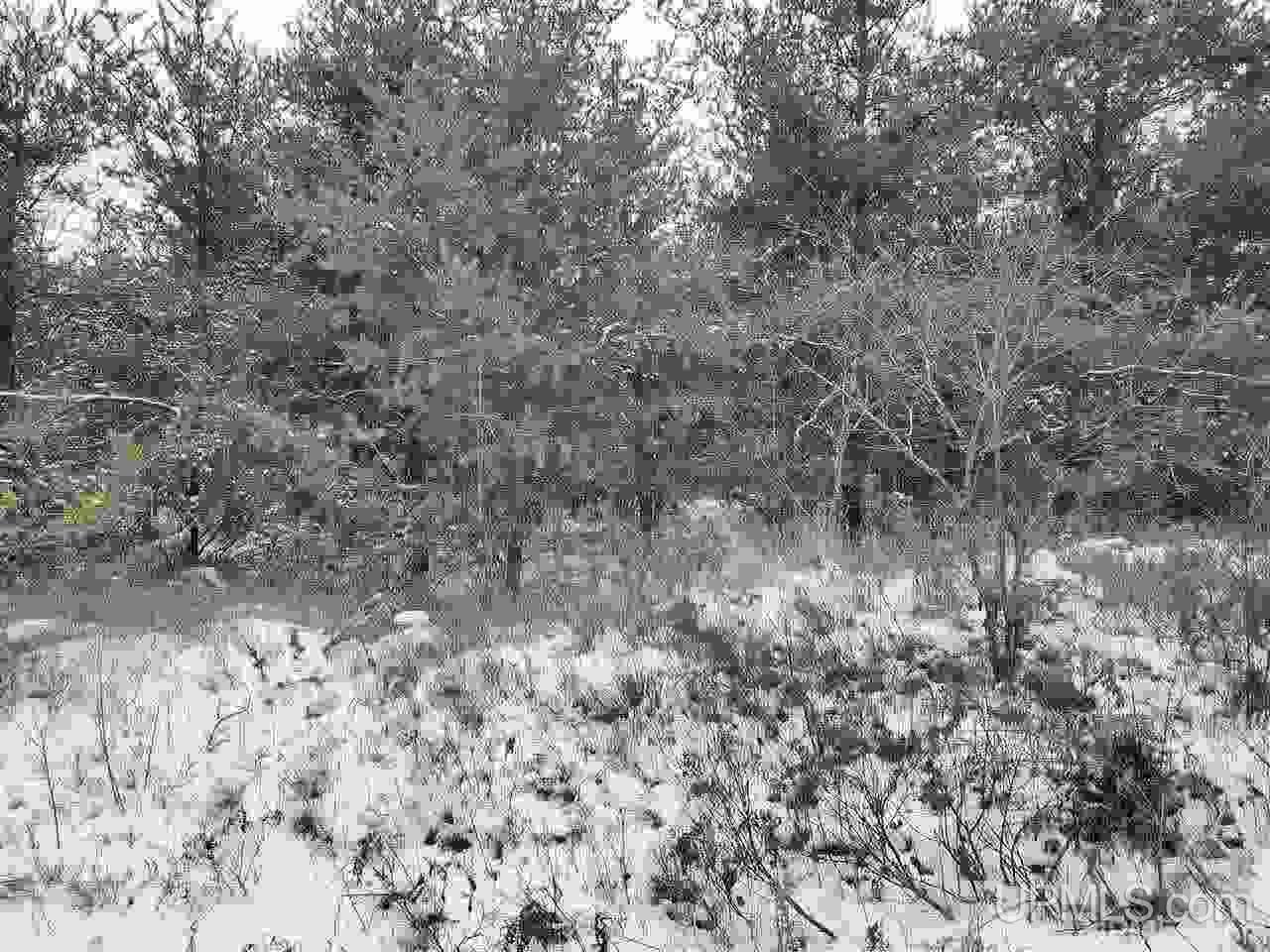 40 Acres Off Bryan Creek Road Ishpeming, MI 49849 - Photo 2 of 5