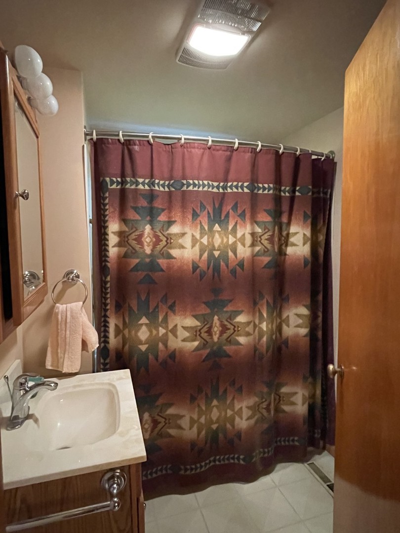 210 South Main Street Herscher, IL 60941 - Photo 12 of 23 a bathroom with a sink and a mirror