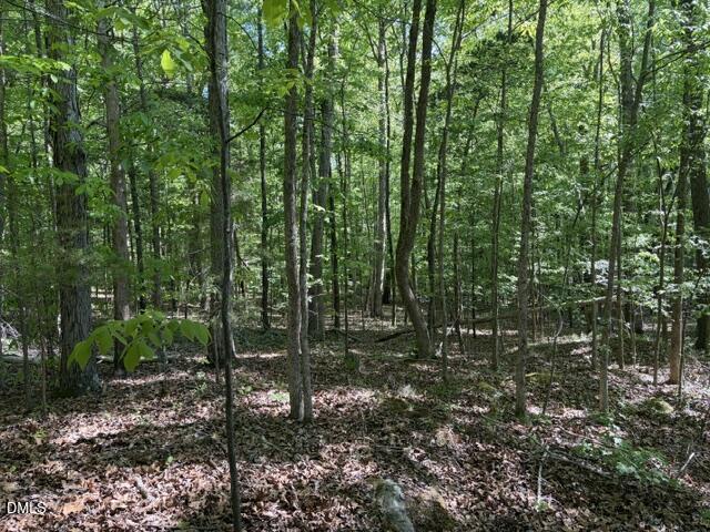 0 Bethel South Fork Road Graham, NC 27253 - Photo 2 of 5 IMG_0794