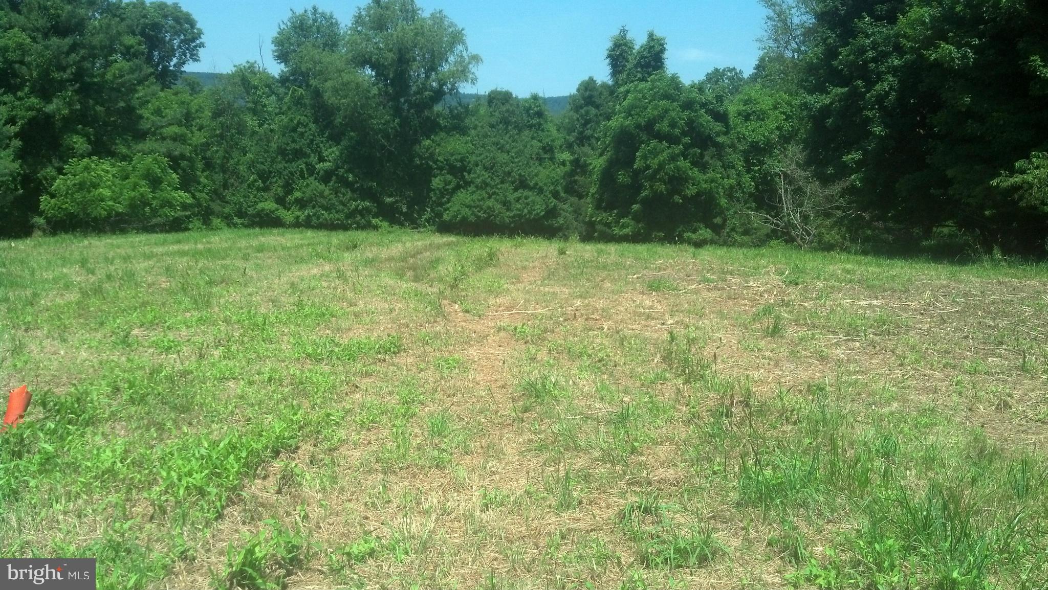 36054 Bell Road Round Hill, VA 20141 - Photo 6 of 9 View
