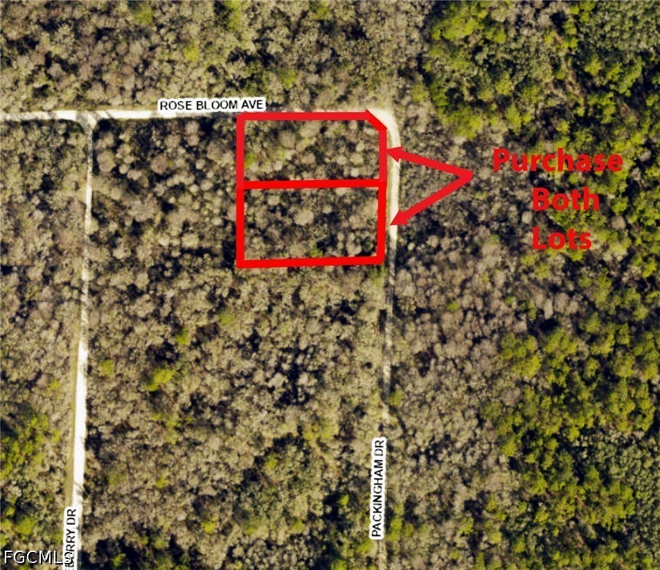 33464 Packingham Drive Webster, FL 33597 - Photo 4 of 7