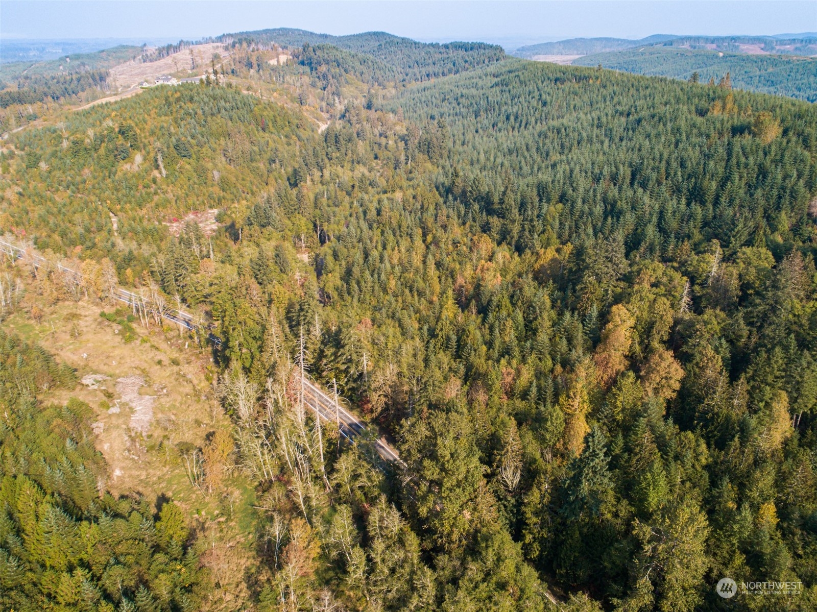 0 State Route Toledo, WA 98591 - Photo 1 of 21 a view of a lush green forest with lush green forest
