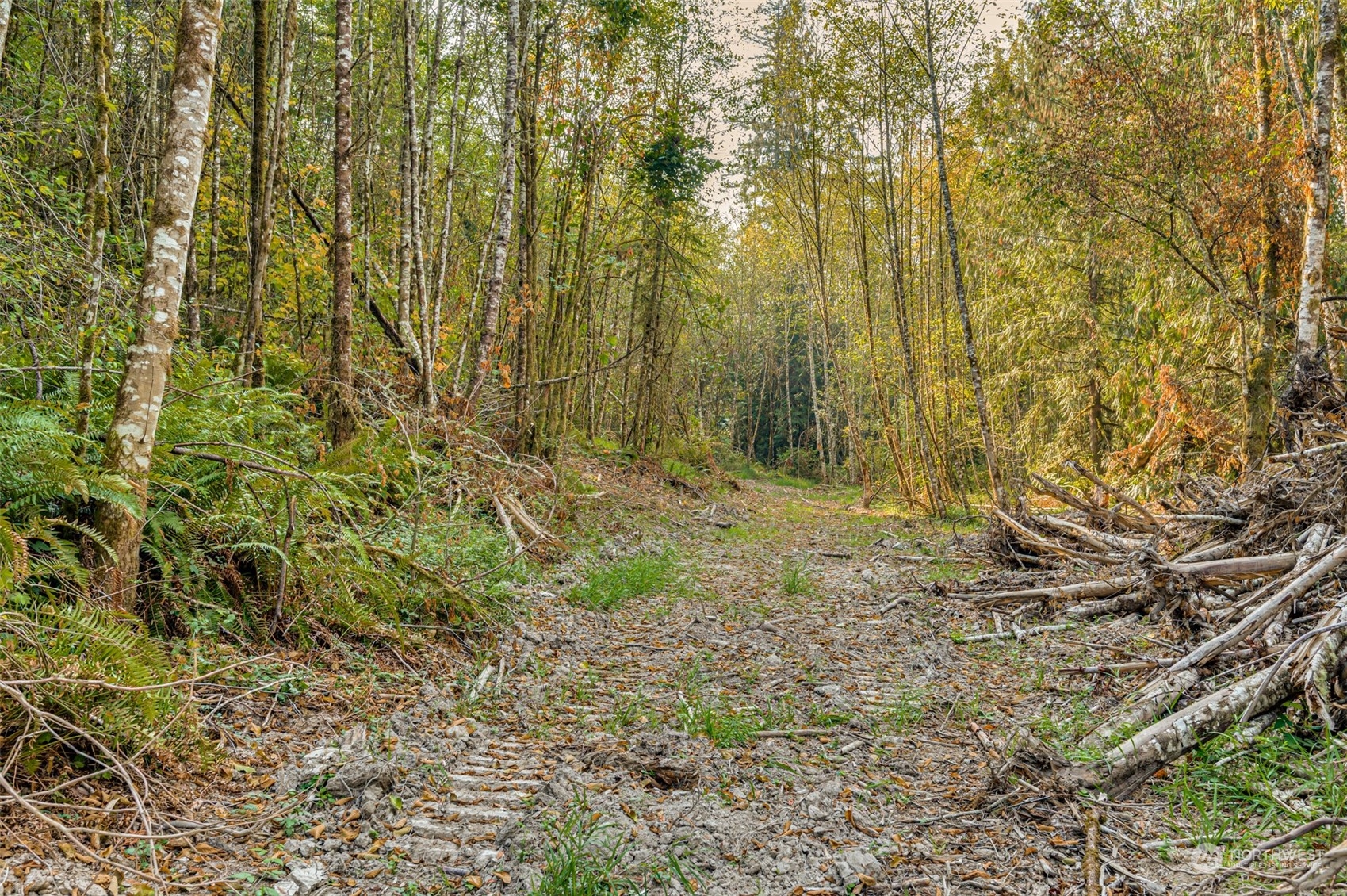0 State Route Toledo, WA 98591 - Photo 11 of 21 a view of under construction area