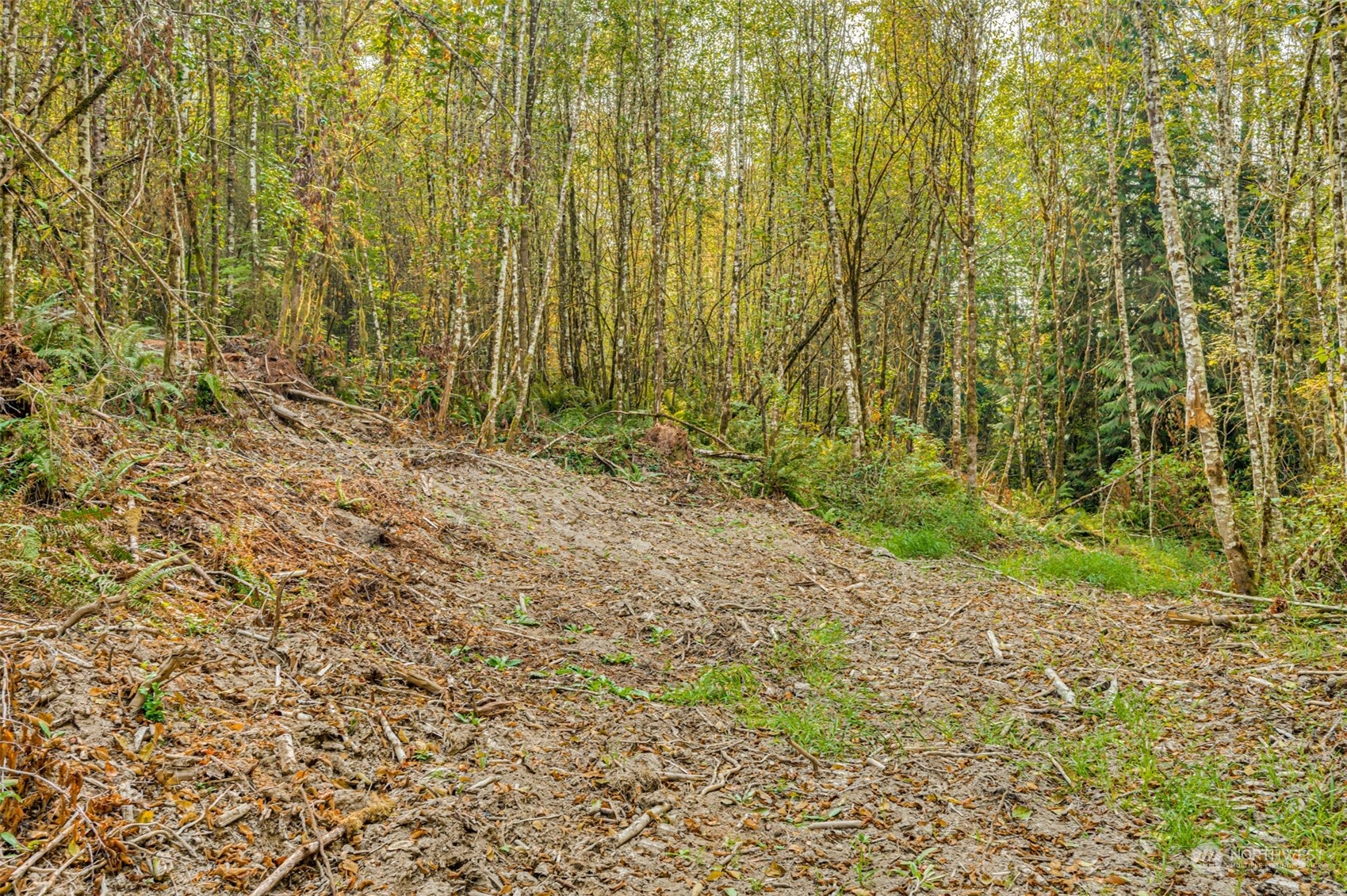 0 State Route Toledo, WA 98591 - Photo 12 of 21 a view of a pathway both side of shower