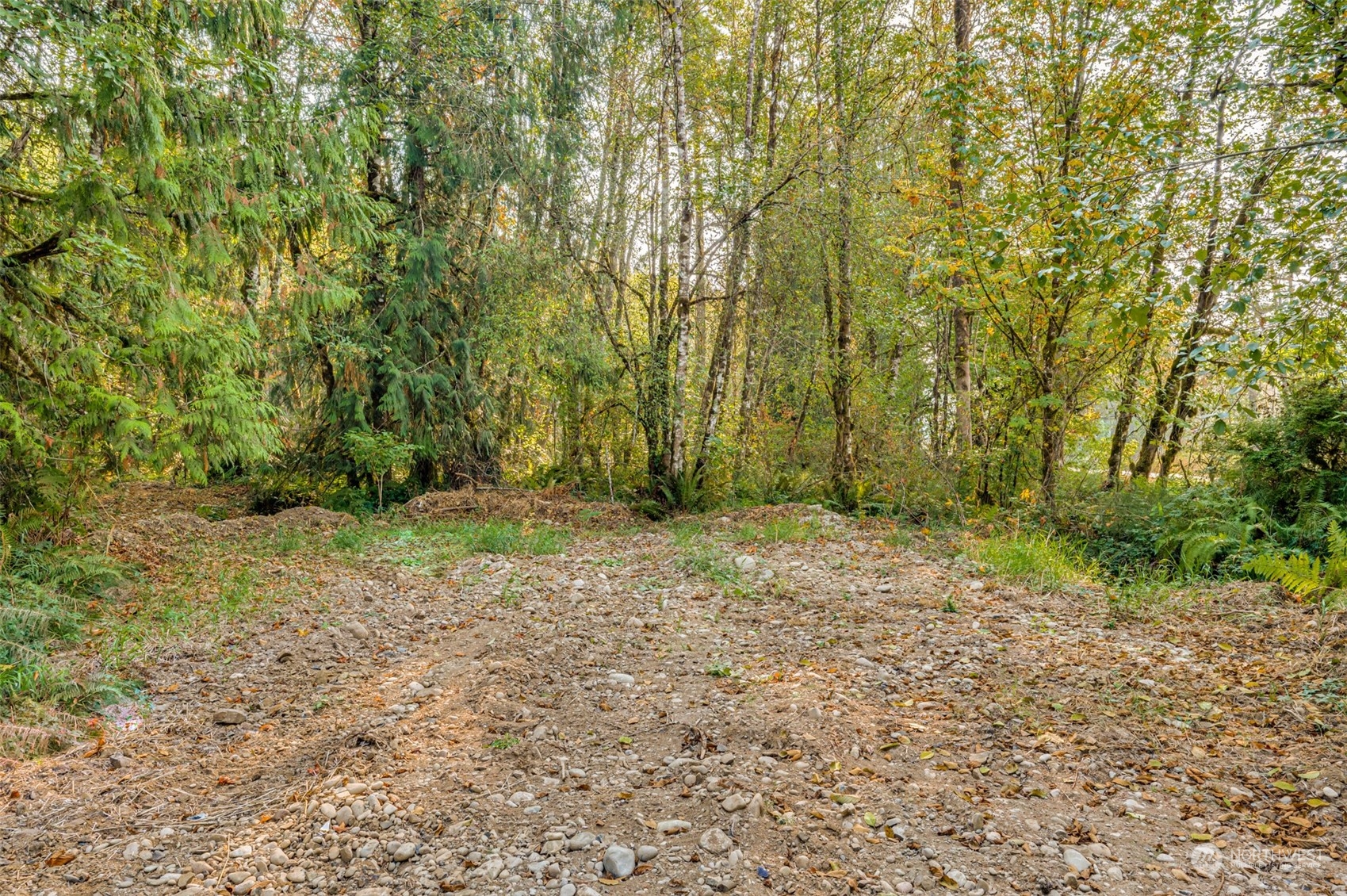0 State Route Toledo, WA 98591 - Photo 13 of 21 a view of backyard with green space