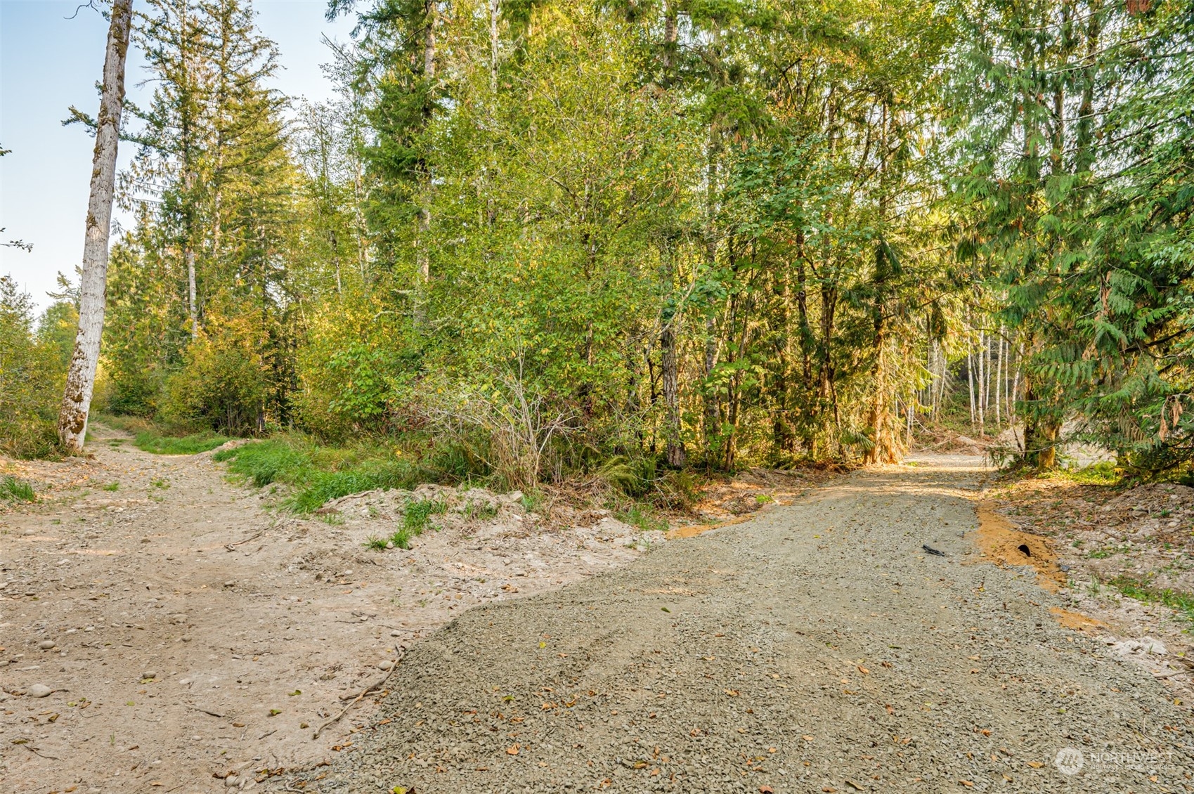 0 State Route Toledo, WA 98591 - Photo 14 of 21 a view of dirt yard