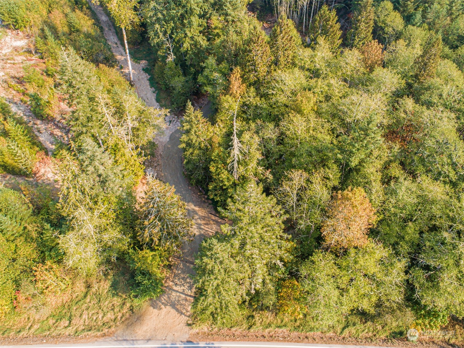 0 State Route Toledo, WA 98591 - Photo 15 of 21 a view of a yard