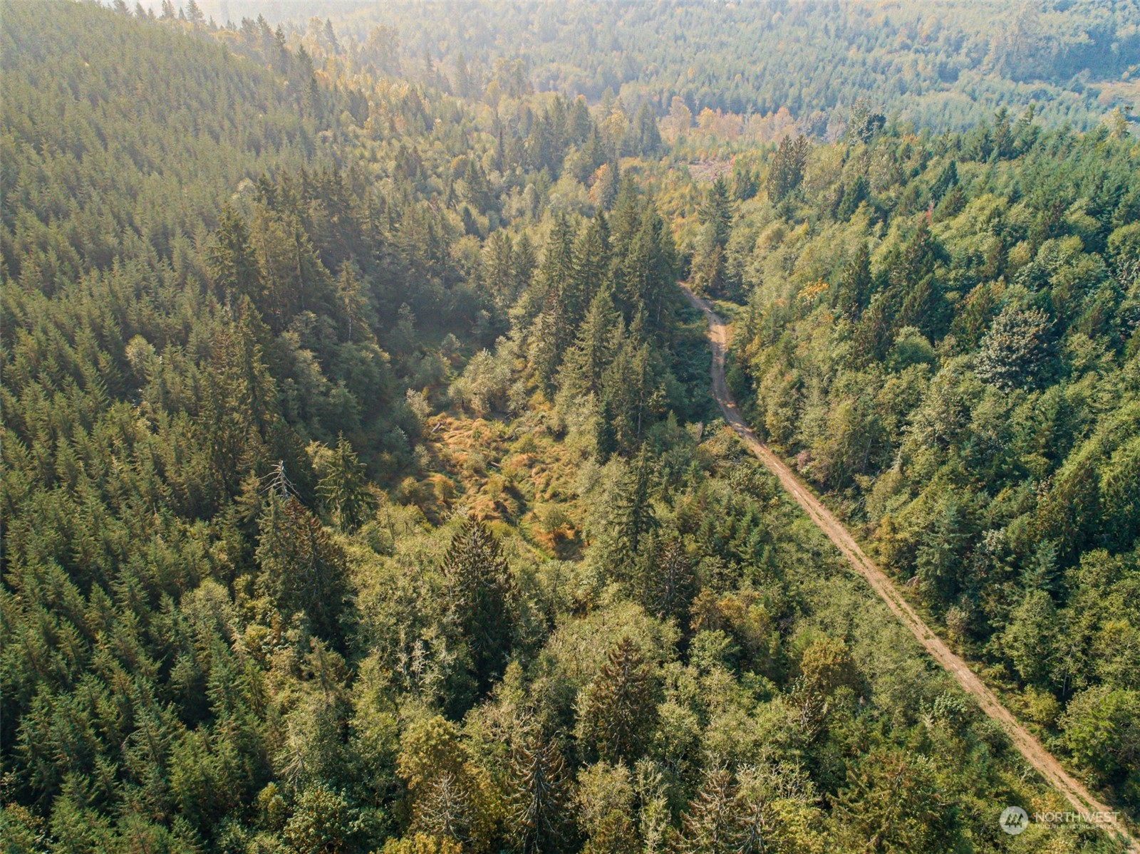 0 State Route Toledo, WA 98591 - Photo 19 of 21 a view of a yard
