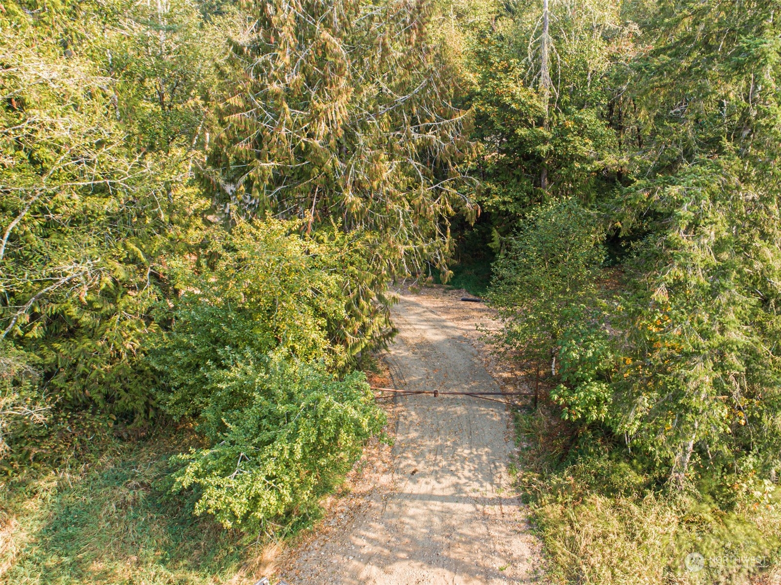 0 State Route Toledo, WA 98591 - Photo 3 of 21 a view of a pathway both side of yard