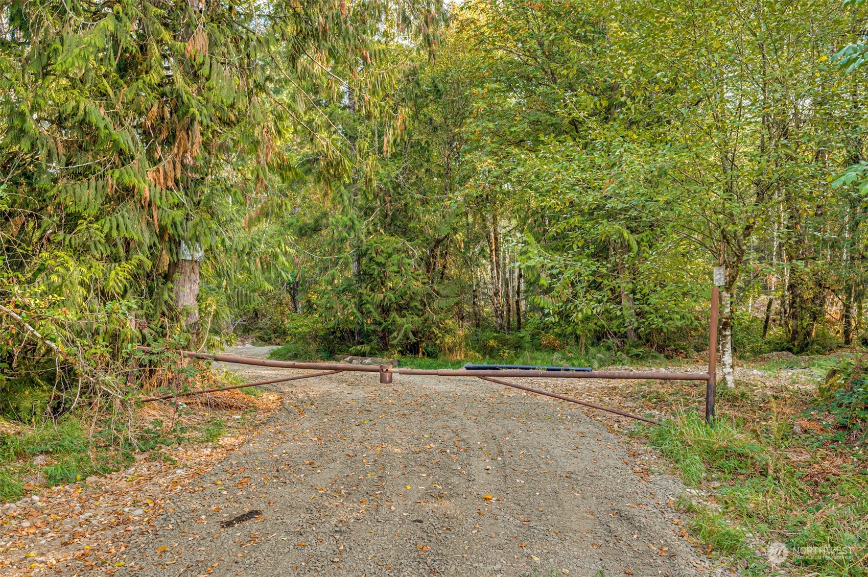 0 State Route Toledo, WA 98591 - Photo 4 of 21 a view of a field with trees in the background