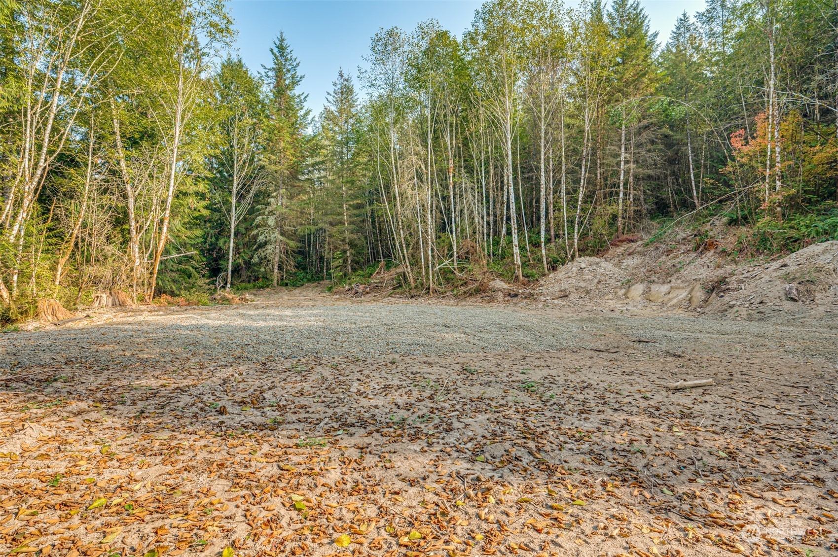 0 State Route Toledo, WA 98591 - Photo 6 of 21 a view of a yard with trees