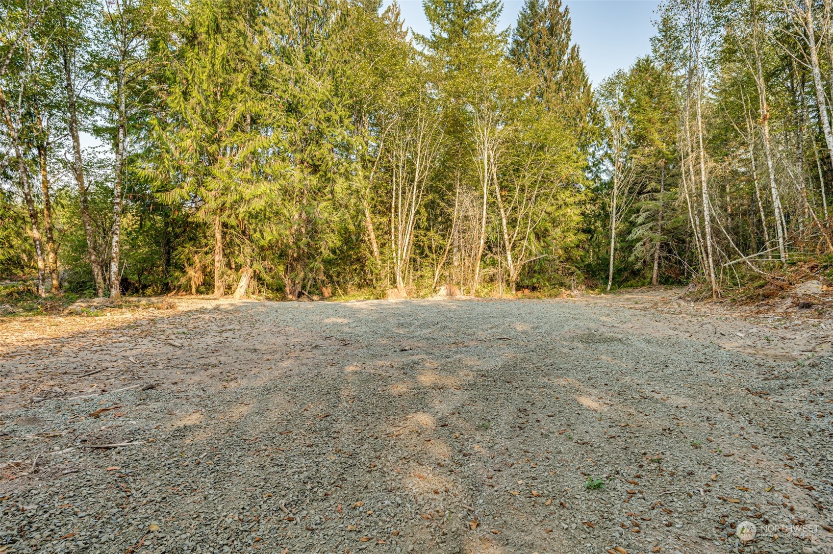 0 State Route Toledo, WA 98591 - Photo 7 of 21 a view of empty room with trees