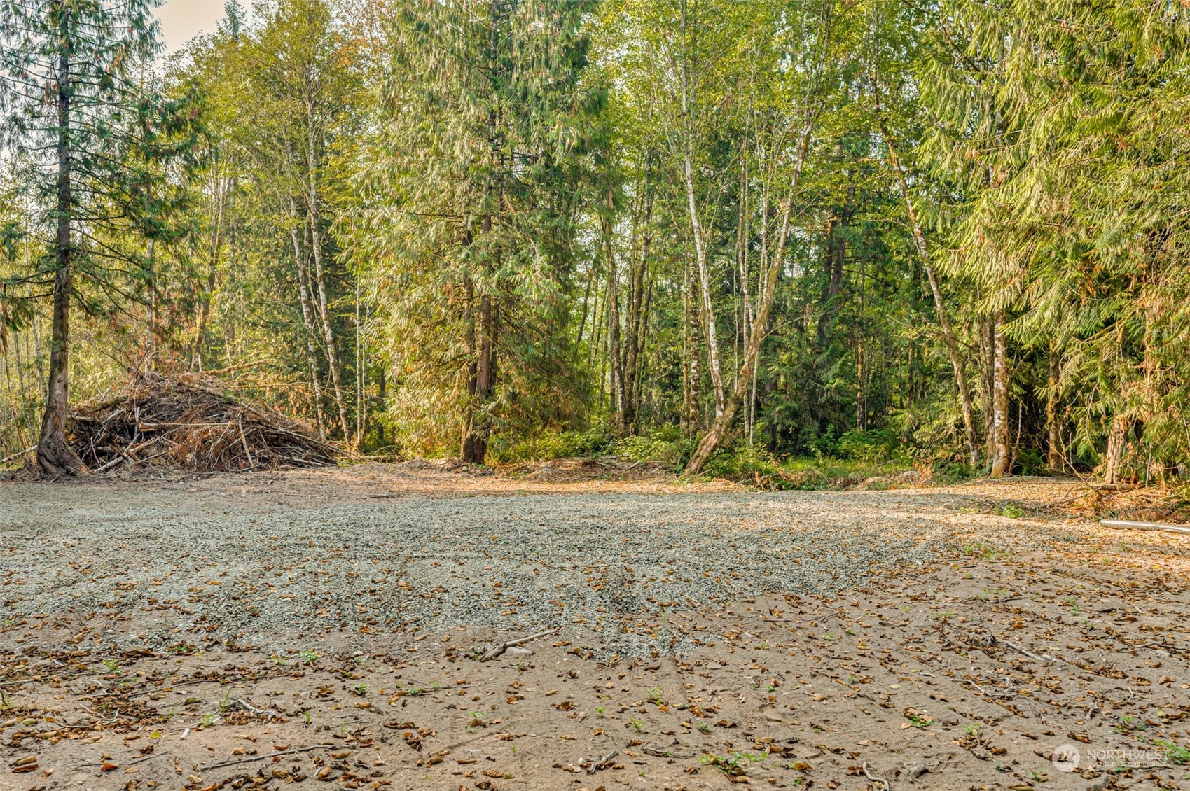 0 State Route Toledo, WA 98591 - Photo 9 of 21 a view of a yard with a trees