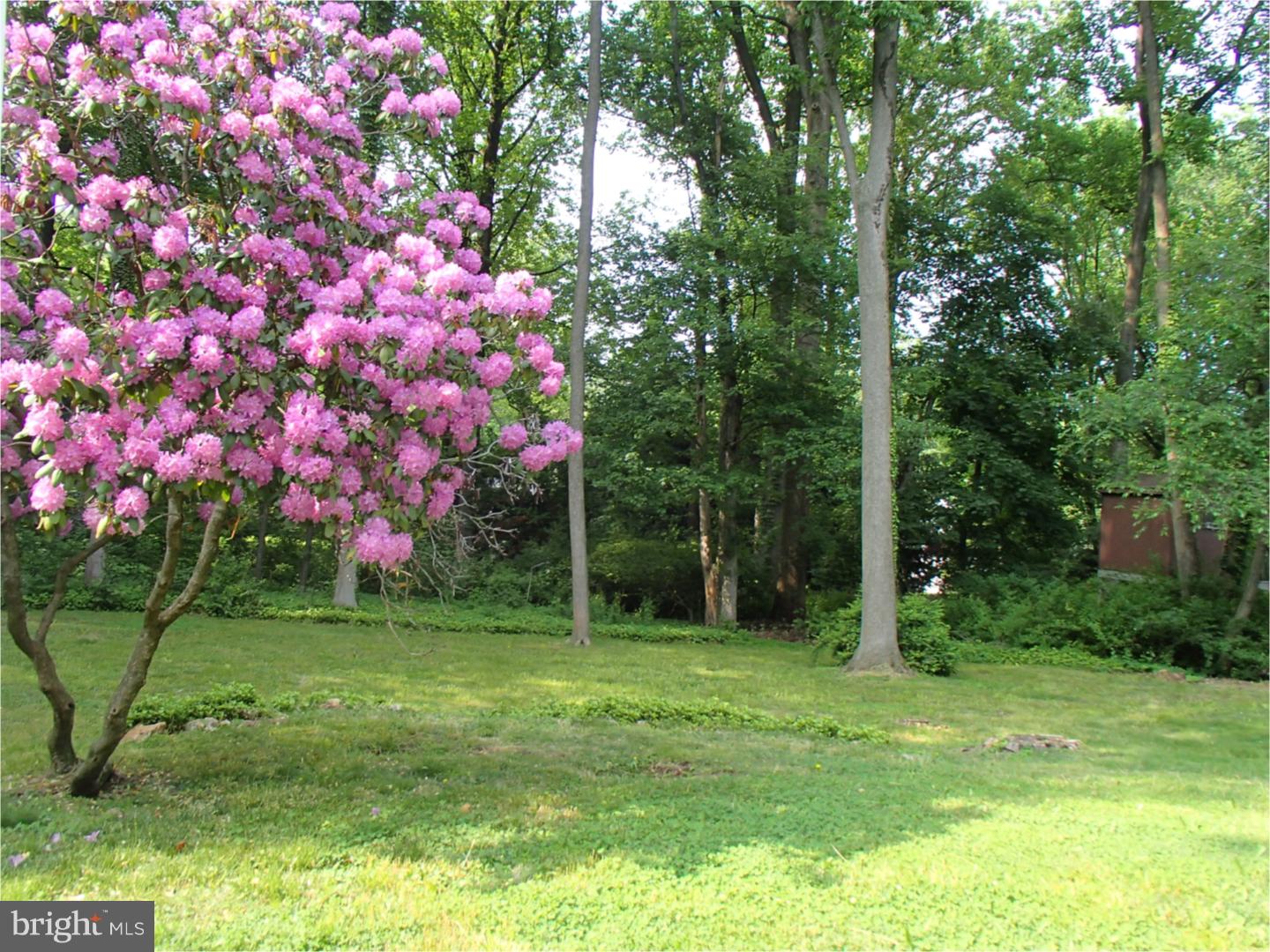409 Forge Lane Exton, PA 19341 - Photo 18 of 18 Gallery Image 18