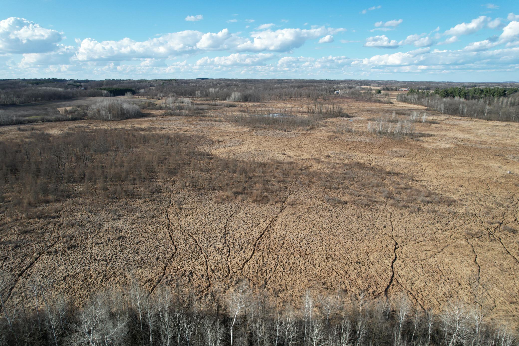 Tbd 320th Street Browerville, MN 56438 - Photo 1 of 32