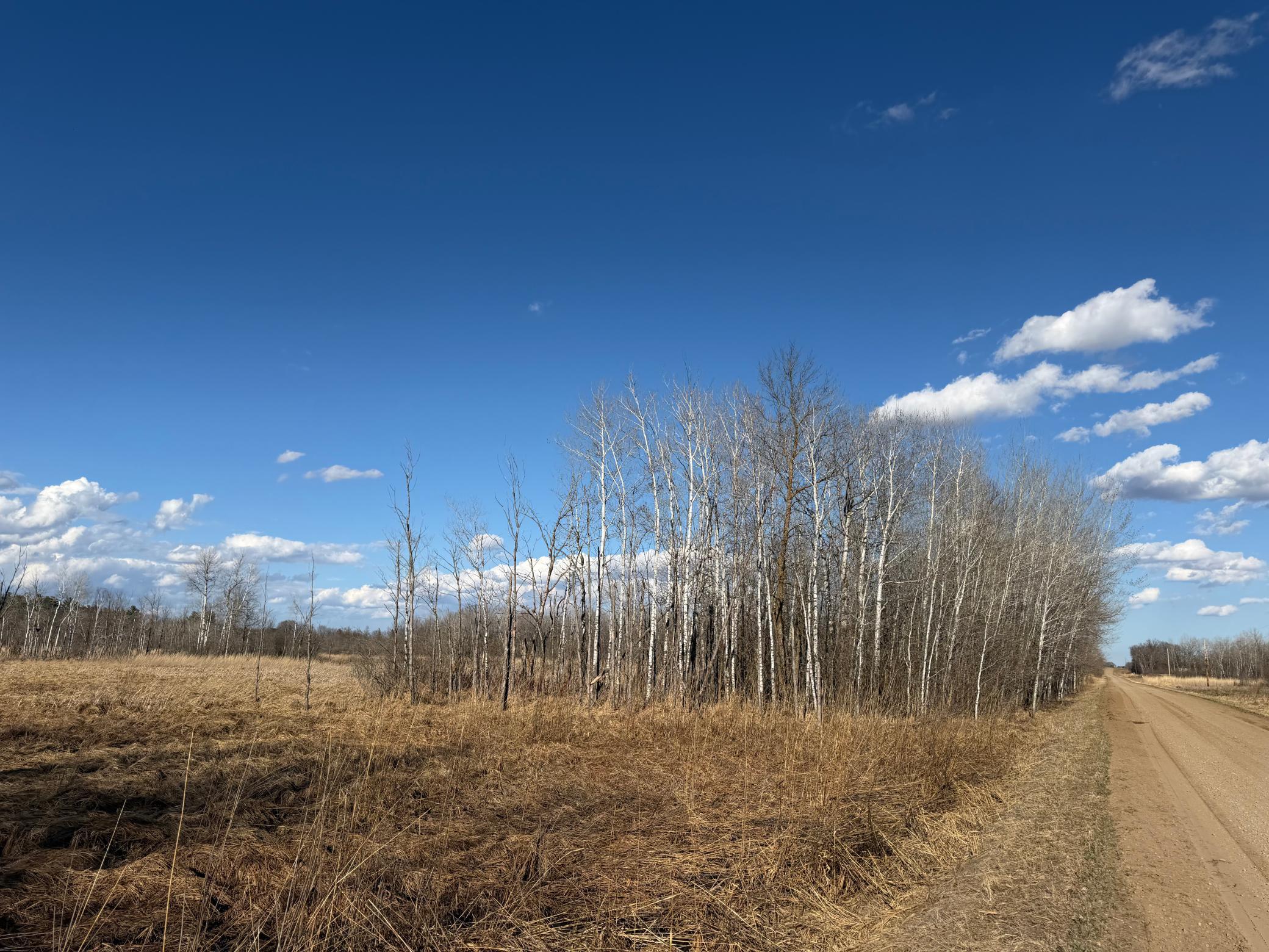 Tbd 320th Street Browerville, MN 56438 - Photo 25 of 32