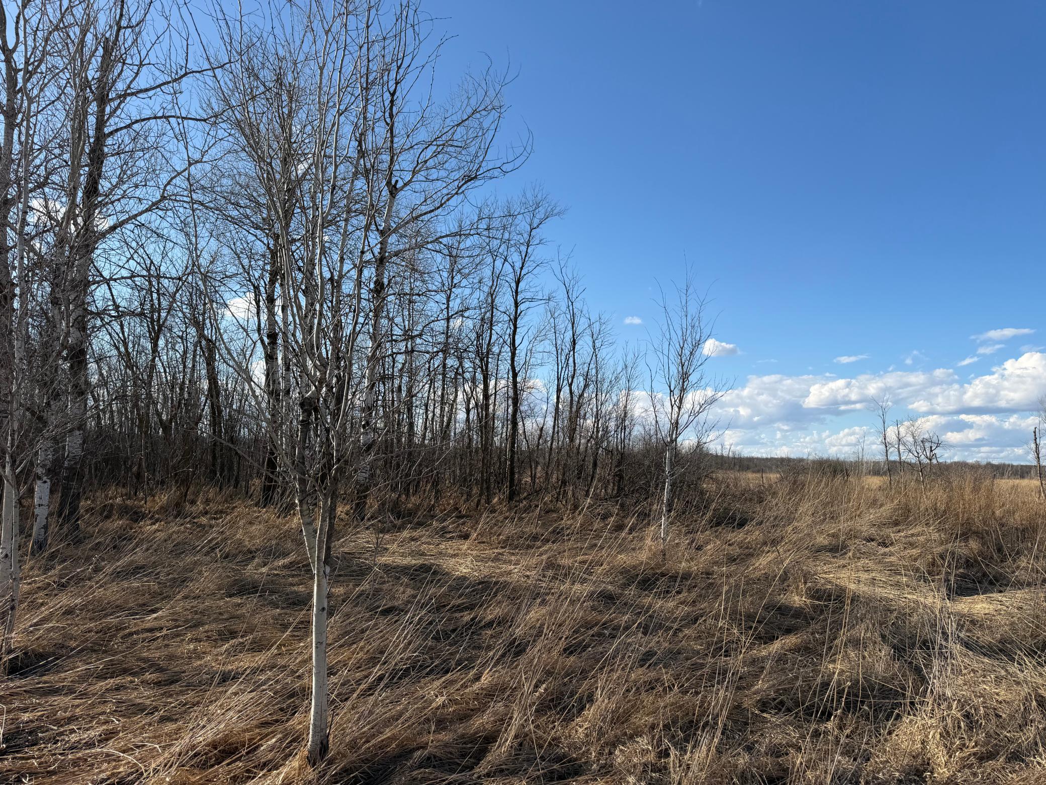 Tbd 320th Street Browerville, MN 56438 - Photo 29 of 32