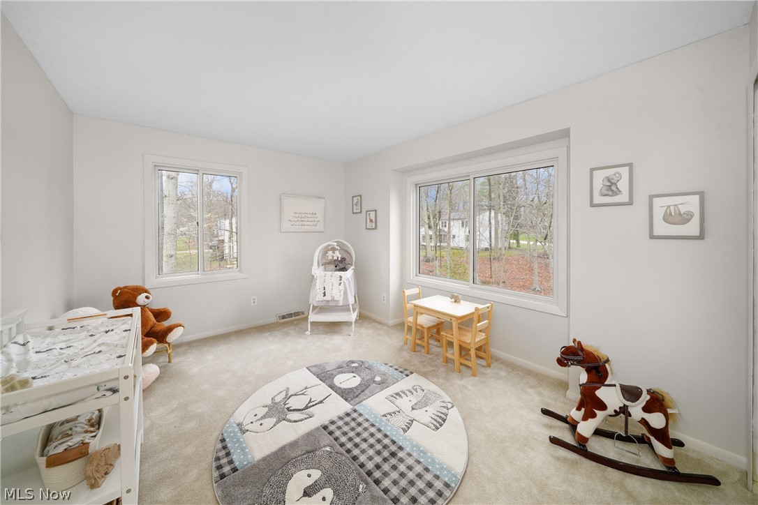 7367 Woodyard Road Hudson, OH 44236 - Photo 25 of 26
